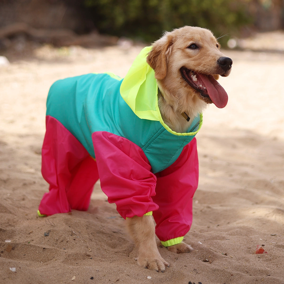 Tri colour Rainromper