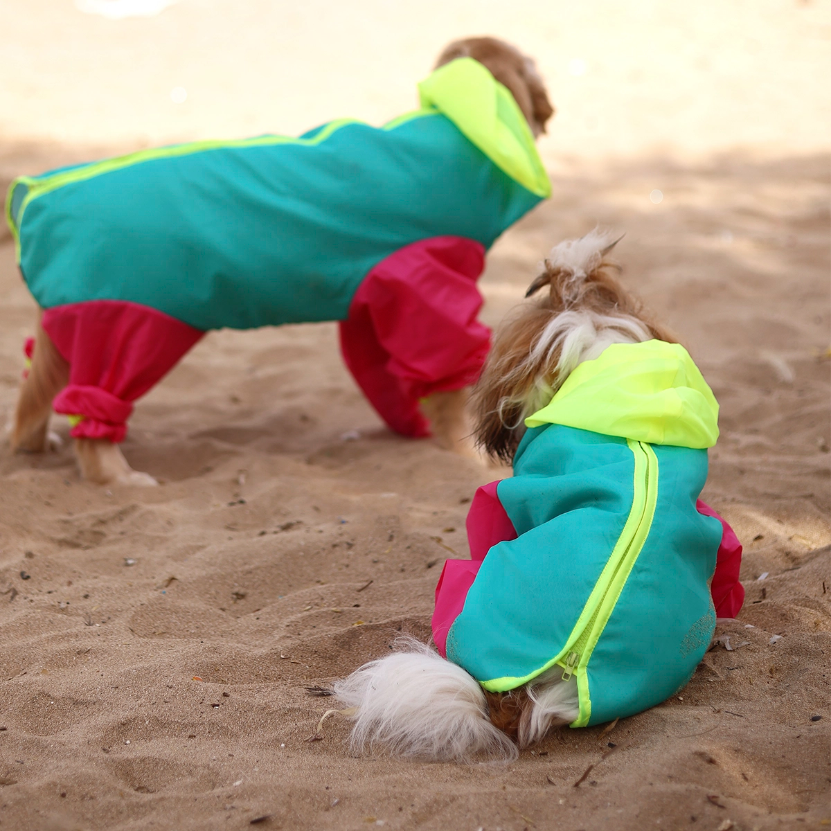 Tri colour Rainromper