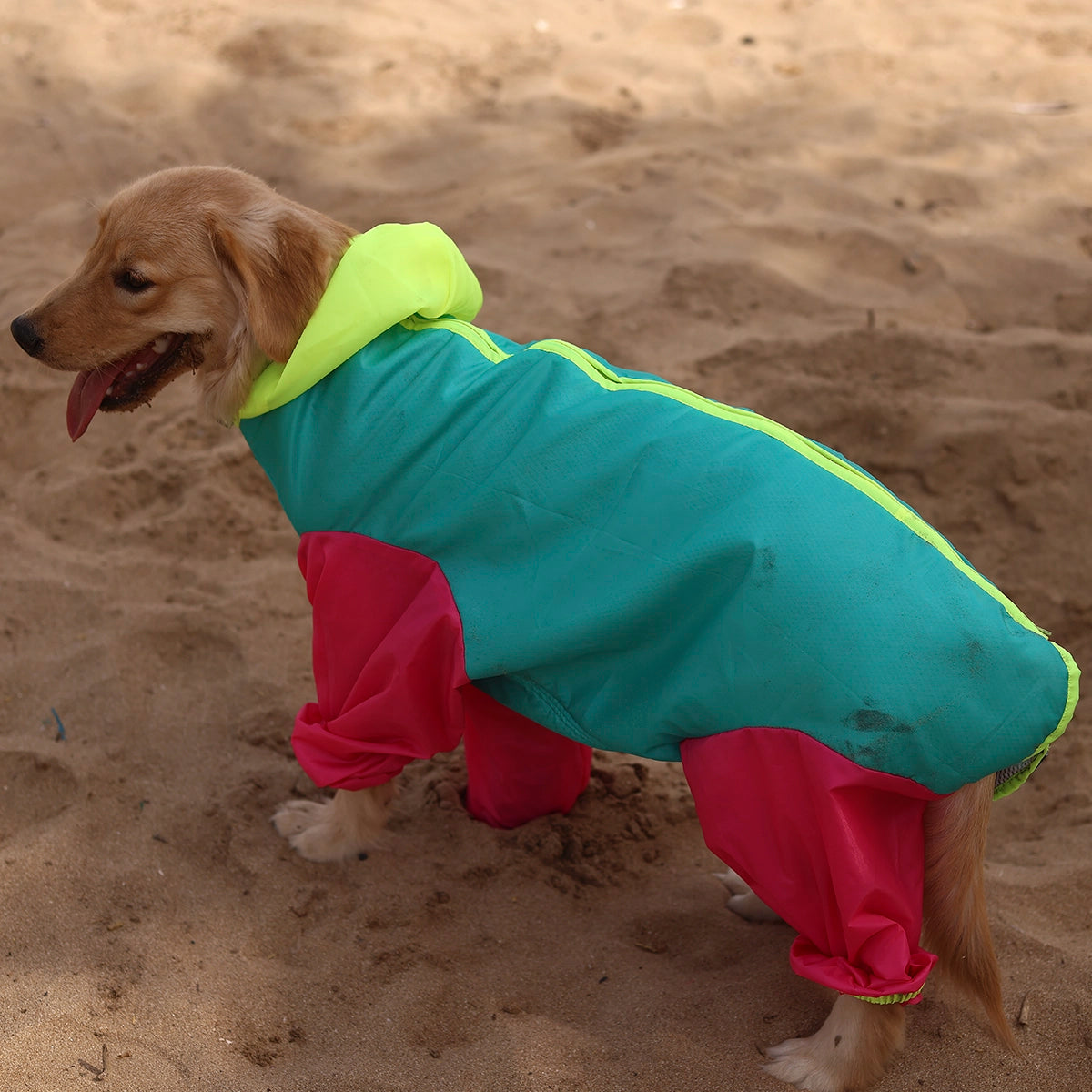 Tri colour Rainromper