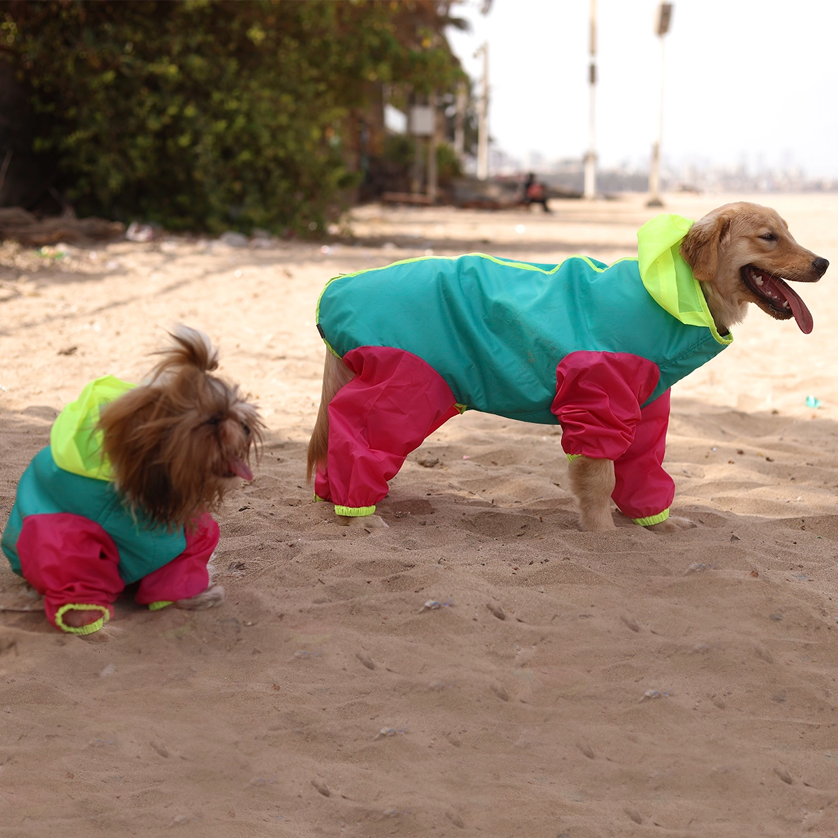 Tri colour Rainromper