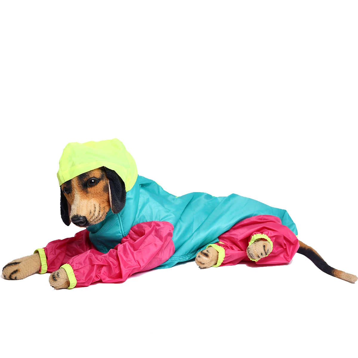 Tri colour Rainromper