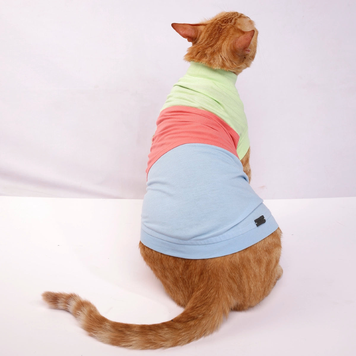 Tricolour Tee (Cat)