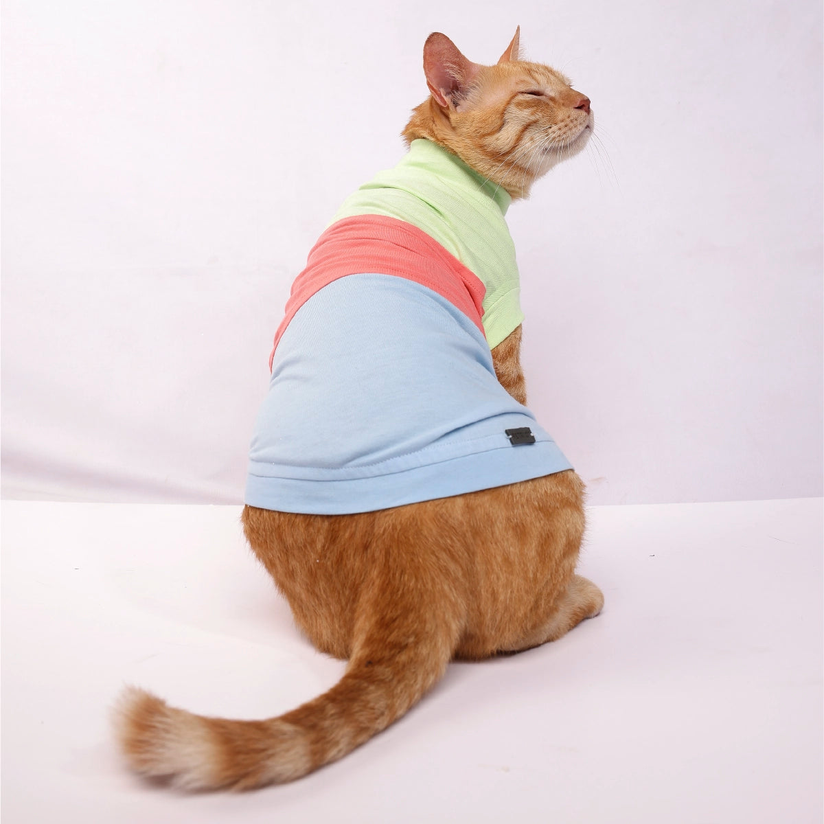 Tricolour Tee (Cat)
