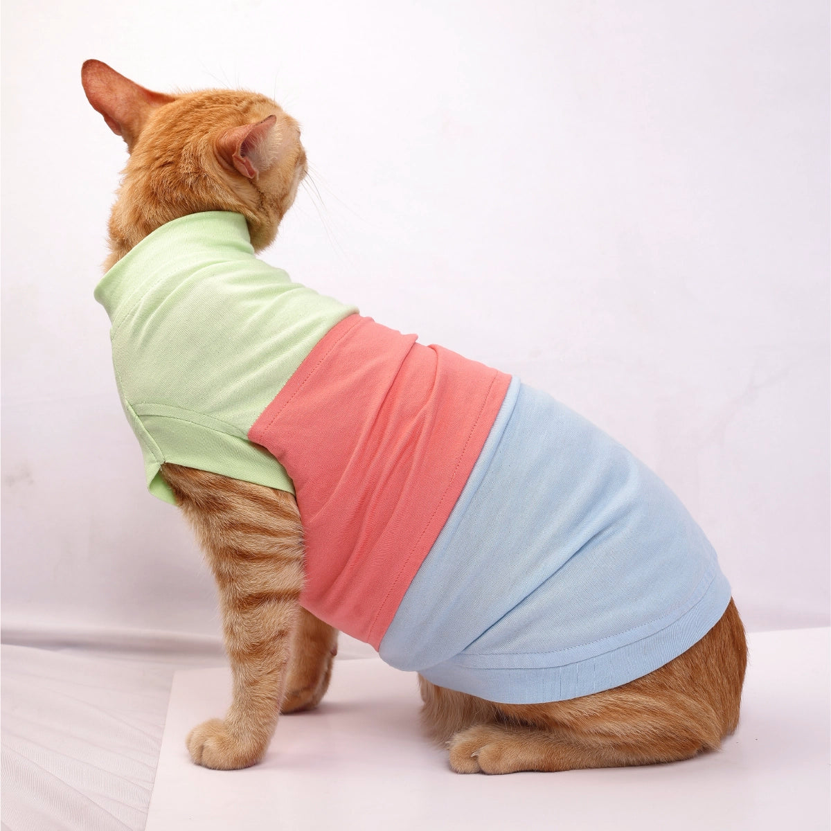 Tricolour Tee (Cat)