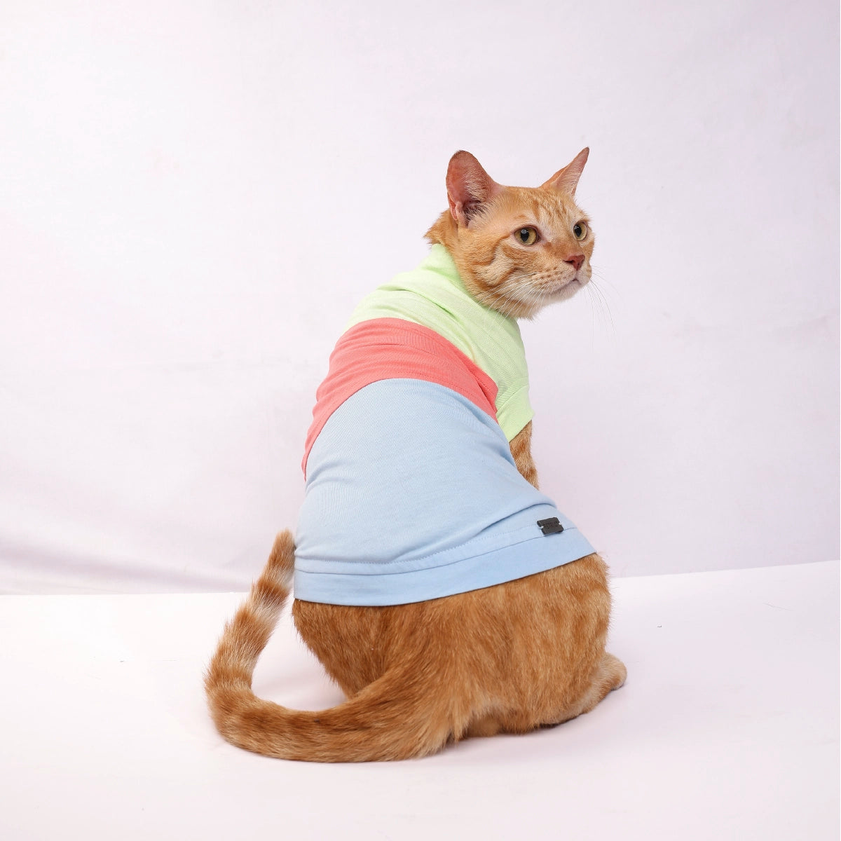 Tricolour Tee (Cat)
