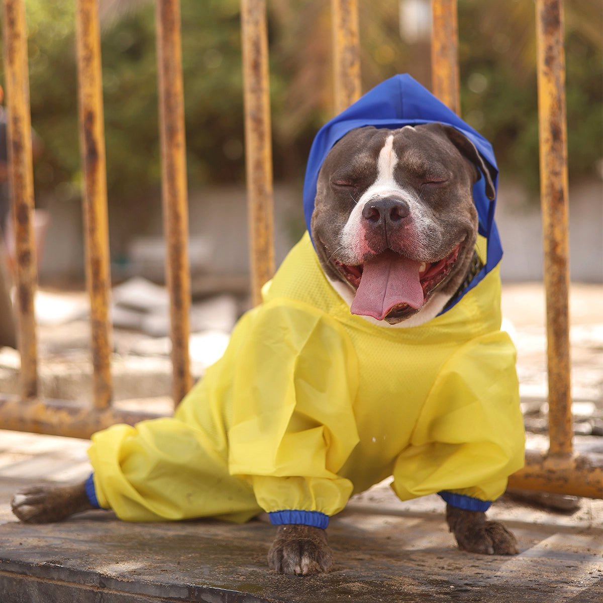 Neon Yellow Rainromper(Dog)