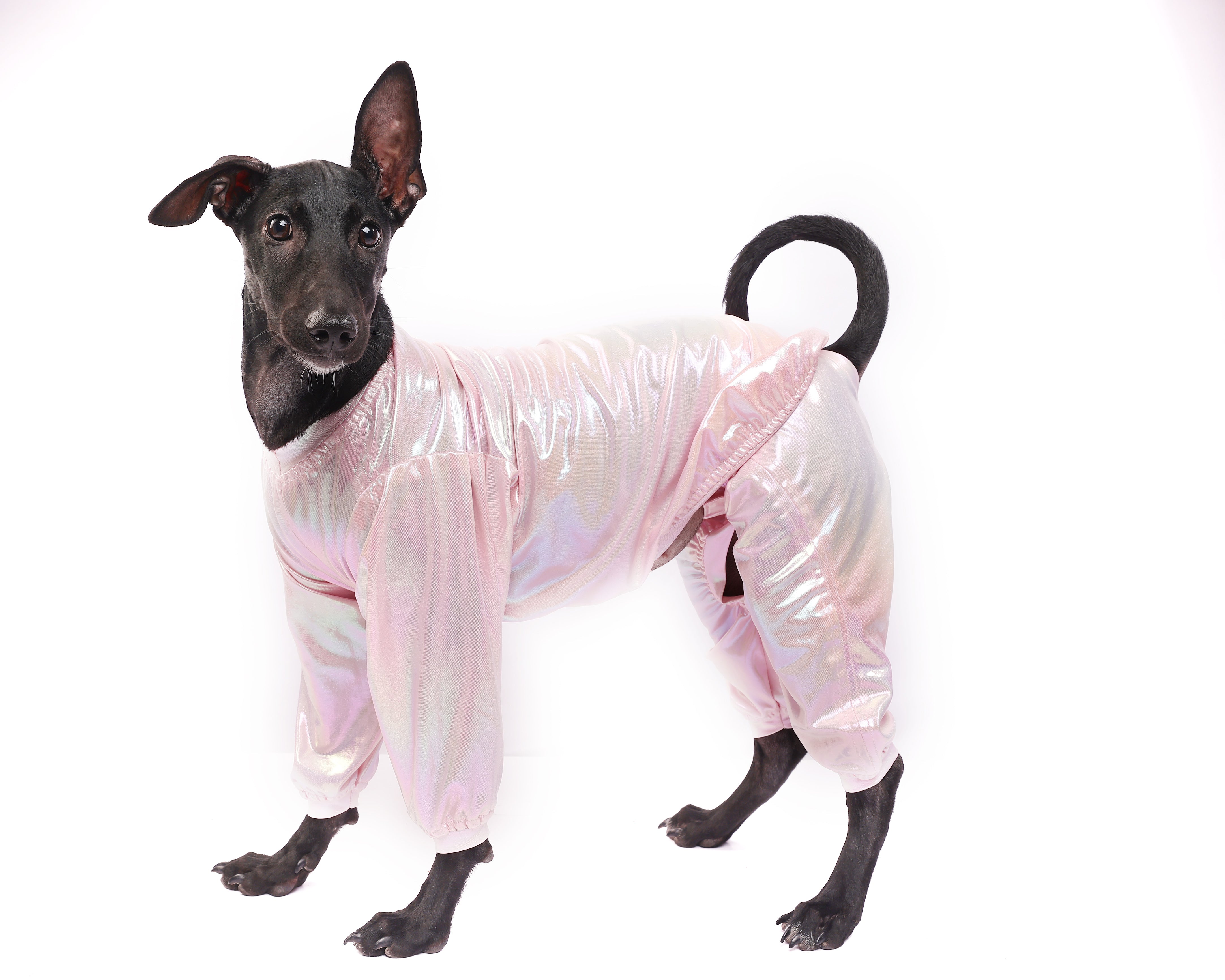 Track Suit