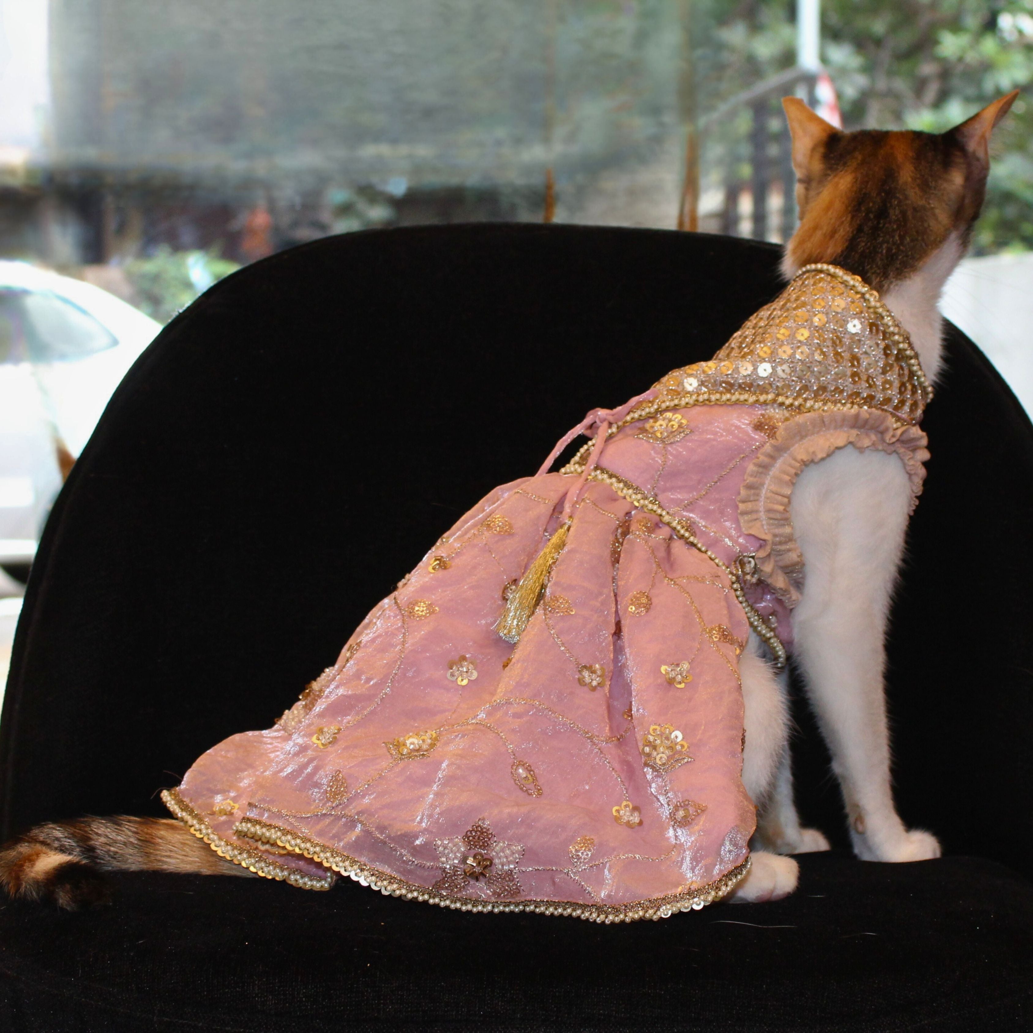 Pink Anarkali (Cat)