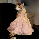 Pink Anarkali (Cat)
