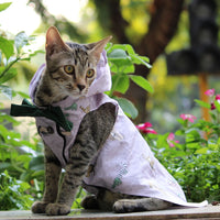 Jungle Shirt (Cat)
