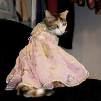 Pink Anarkali (Cat)