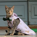 Jungle Shirt (Cat)