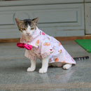 Macroon Shirt (Cat)
