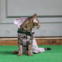 Jungle Shirt (Cat)