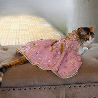 Pink Anarkali (Cat)