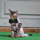 Jungle Shirt (Cat)