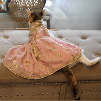 Pink Anarkali (Cat)