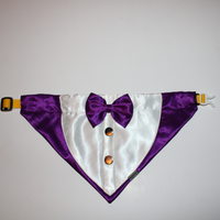 Gentleman Purple(Dog)