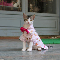 Macroon Shirt (Cat)