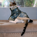 Bandhani Blue (Cat)