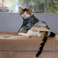 Bandhani Blue (Cat)