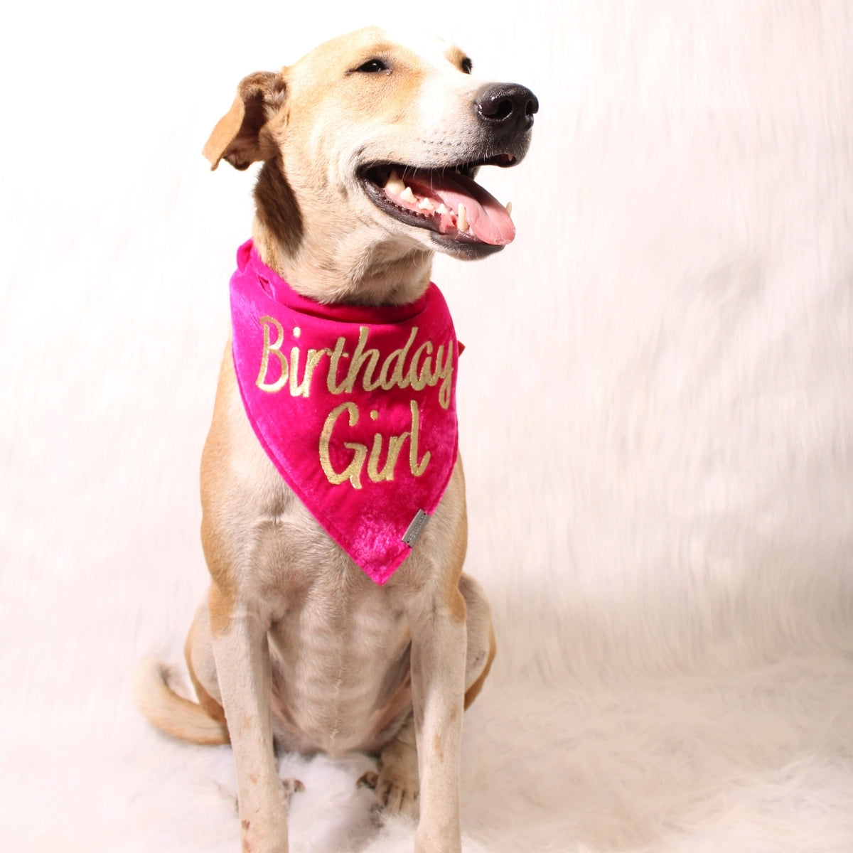 Birthday Girl