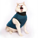 Blue Self Polo(Dog)