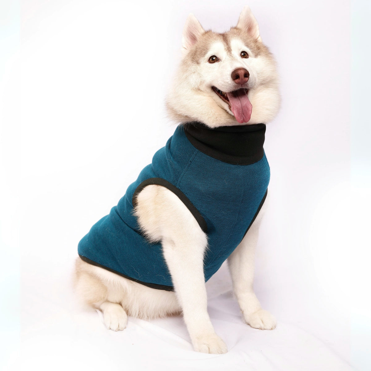 Blue Self Polo(Dog)