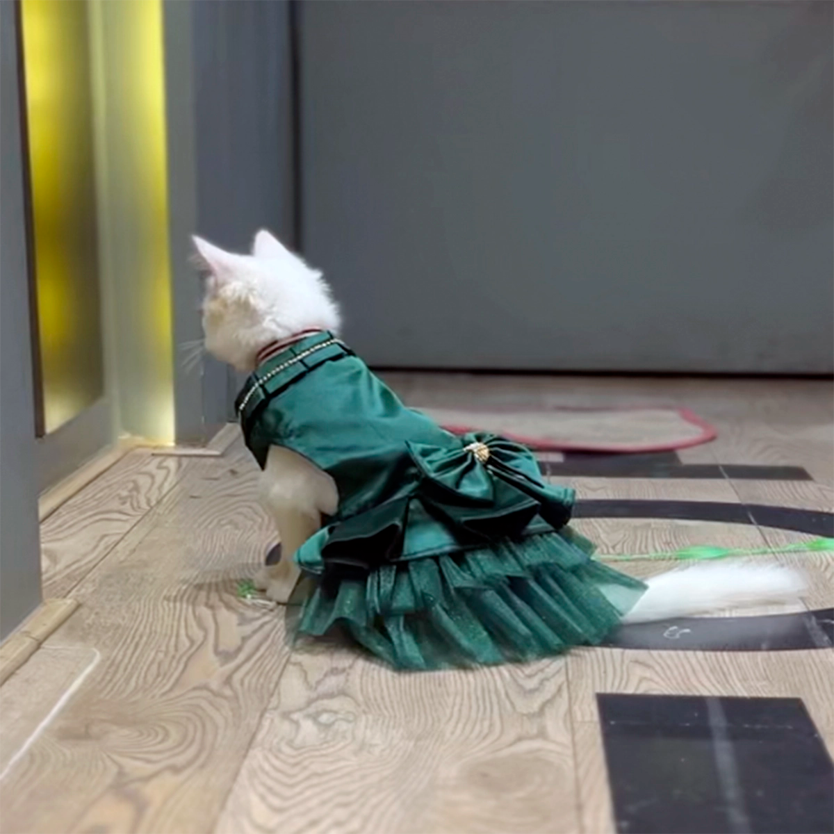 Green Sateen(Cat)