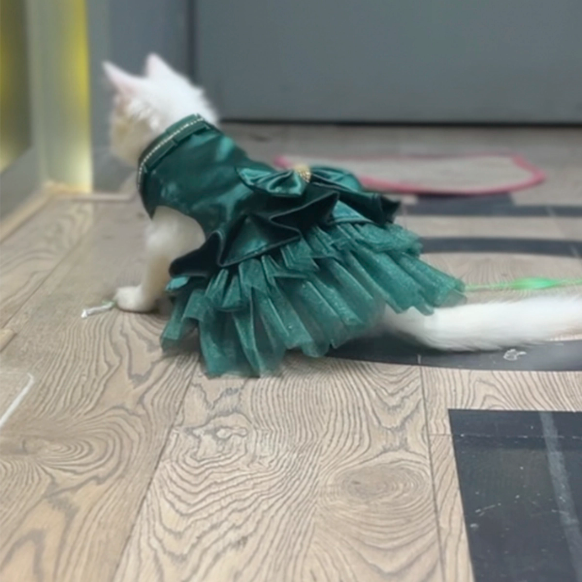 Green Sateen(Cat)