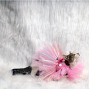 Pink Ice (Cat)