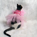 Pink Ice (Cat)