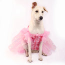 Pink Ice(Dog)