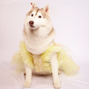 Yellow Ice(Dog)