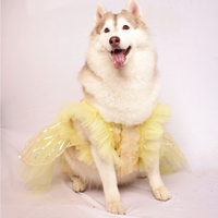 Yellow Ice(Dog)