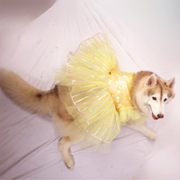 Yellow Ice(Dog)