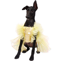 Yellow Ice(Dog)