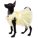 Yellow Ice(Dog)