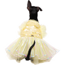 Yellow Ice(Dog)