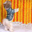 Bandhani Blue(Dog)