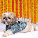 Bandhani Blue(Dog)