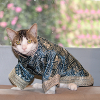 Bandhani Blue (Cat)