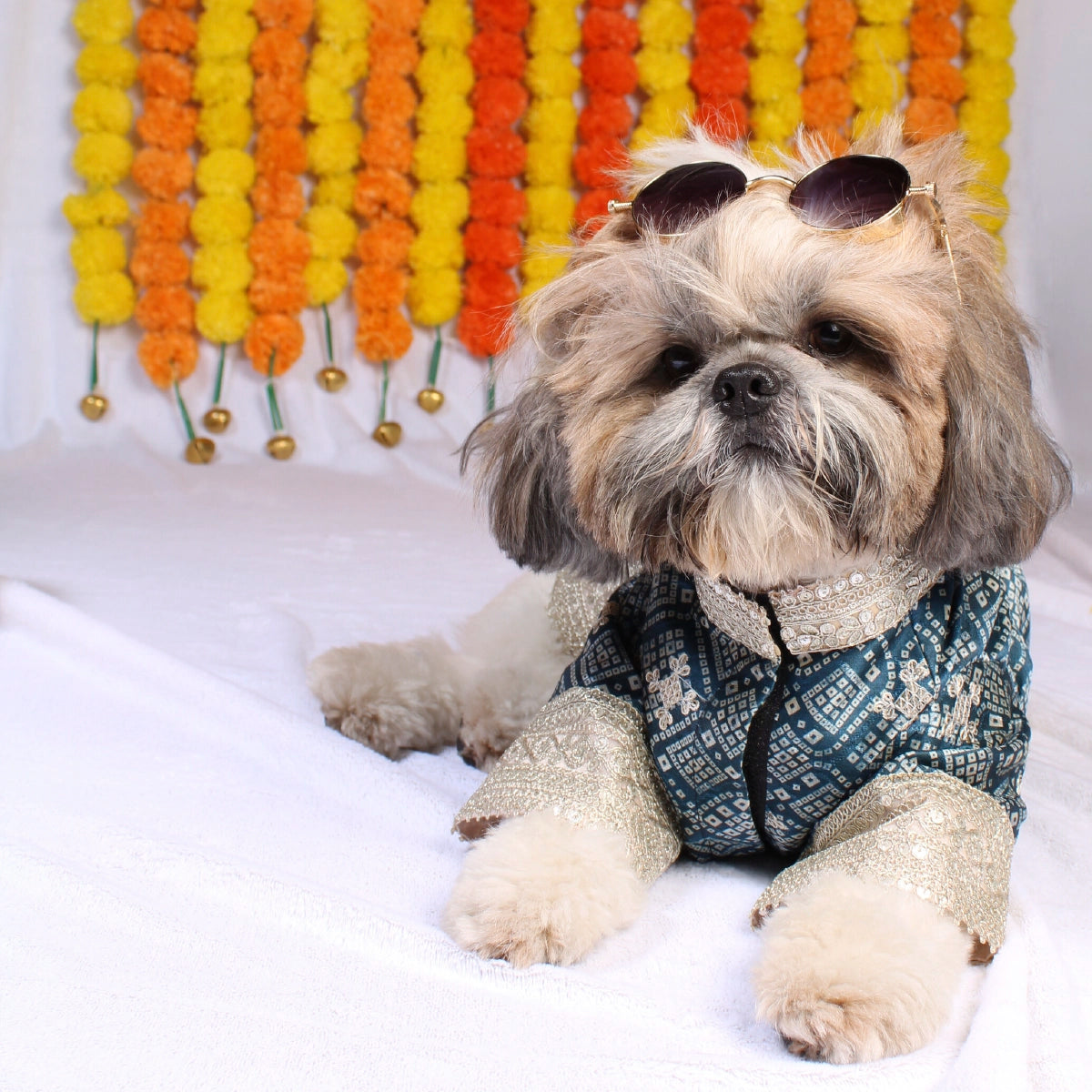 Bandhani Blue(Dog)