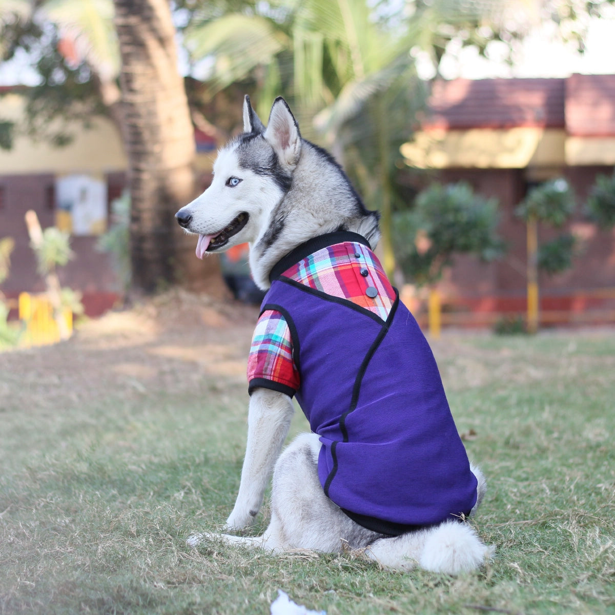 Joker Tee(Dog)