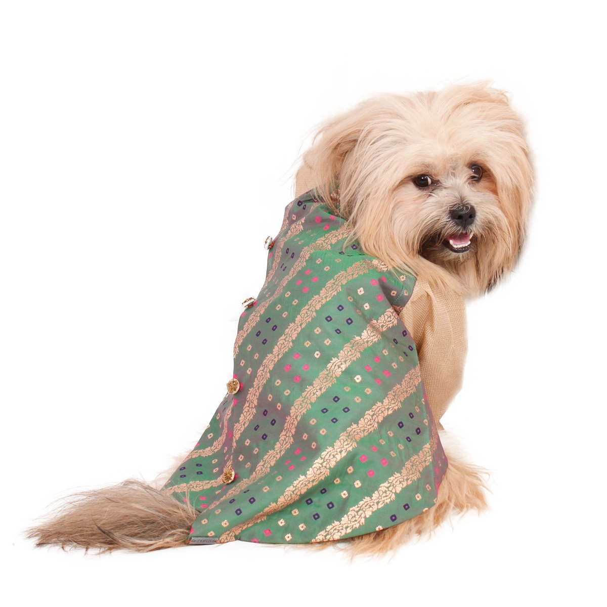 Bandhani Love(Dog)
