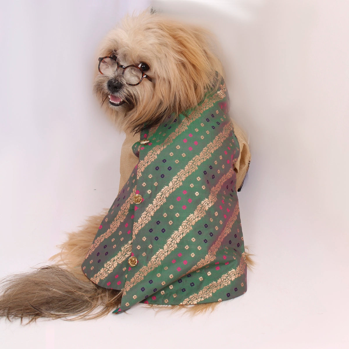 Bandhani Love(Dog)