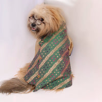 Bandhani Love(Dog)