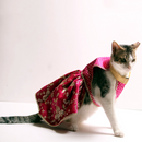 Barbie Twist (Cat)