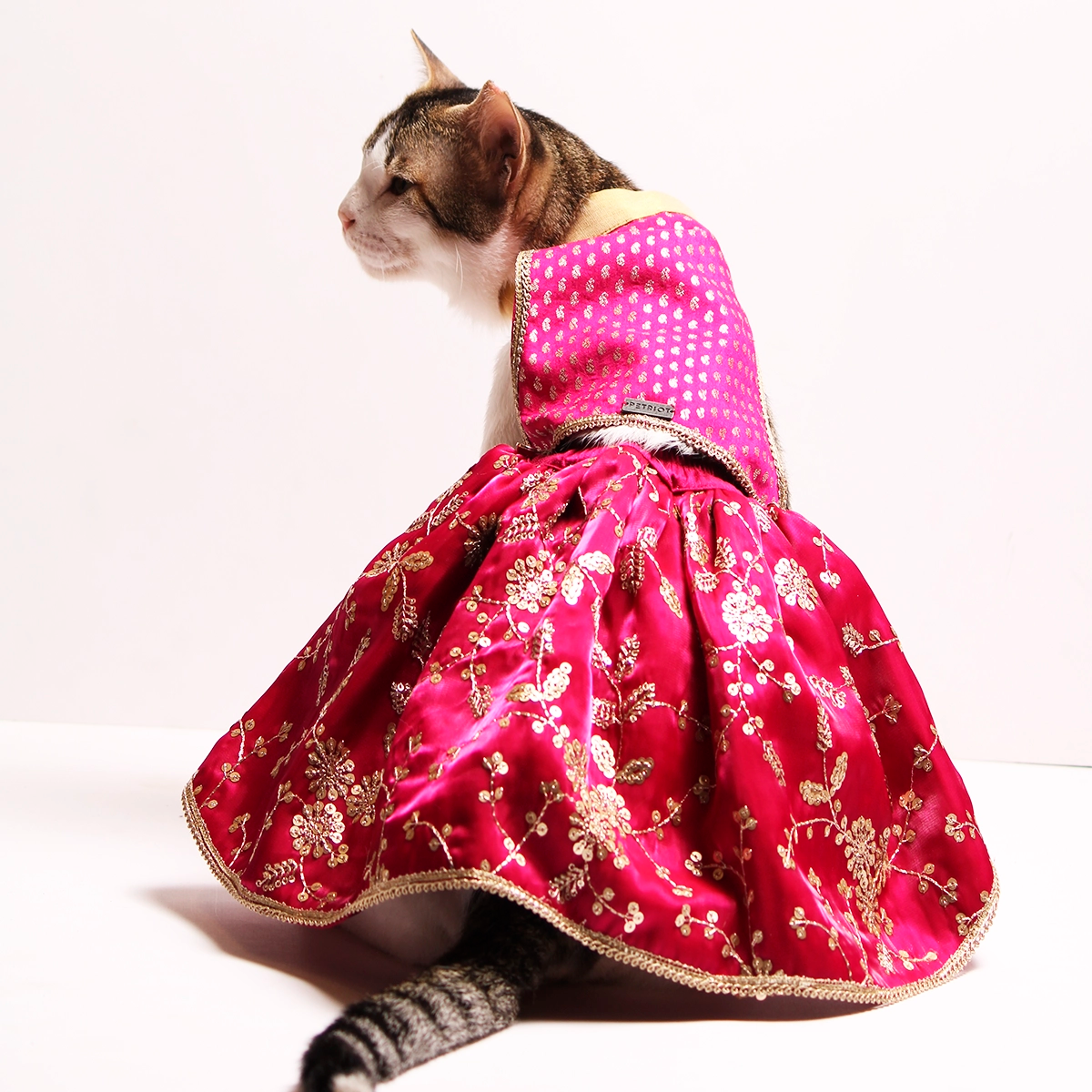 Barbie Twist (Cat)