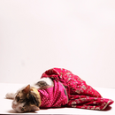 Barbie Twist (Cat)